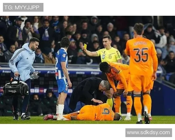 西甲联赛裁判分析：西甲裁判制度及其对比赛的影响