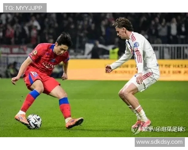 韩国球员在法甲的表现与影响