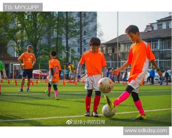 南京篮球队心理素质排名第五揭示球队背后的心理训练与成长之路